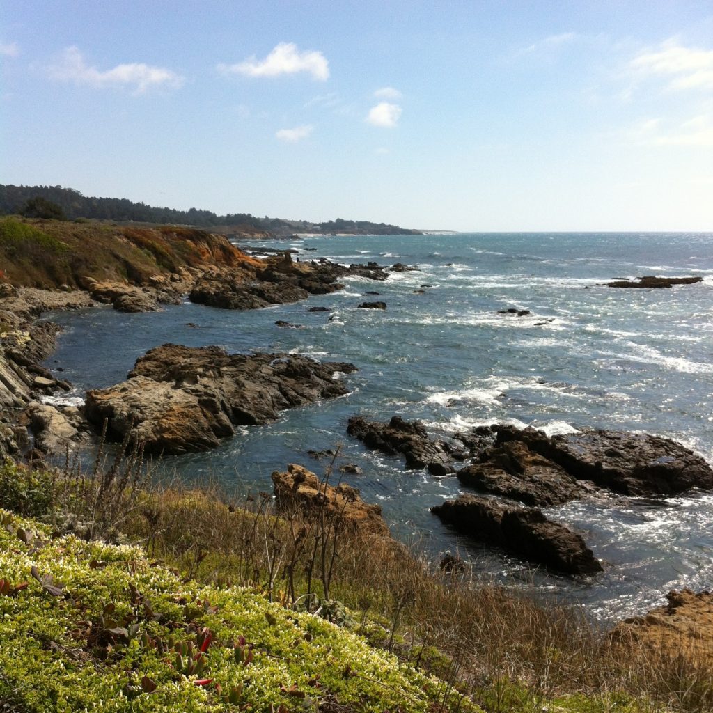 Photo from the Pacific Coast Highway drive, 2012