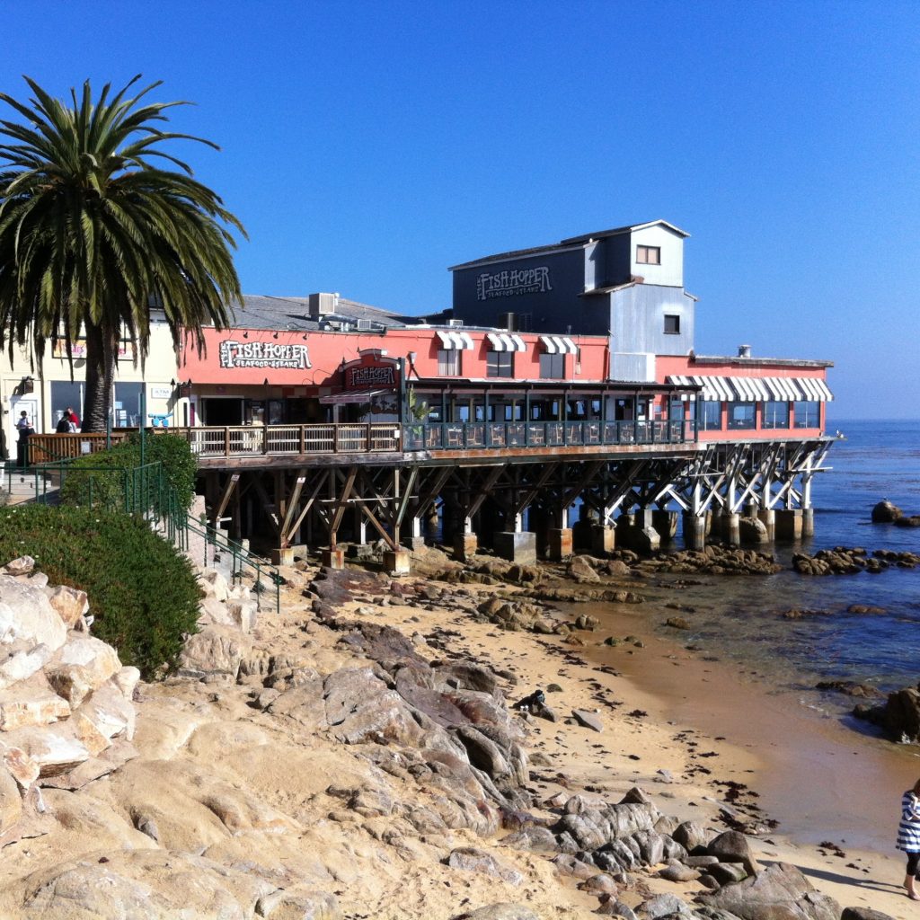 Photo from the Pacific Coast Highway drive, 2012