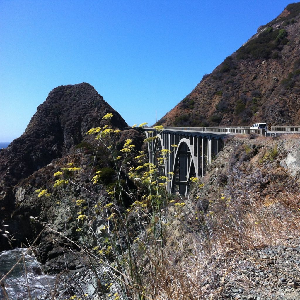 Photo from the Pacific Coast Highway drive, 2012