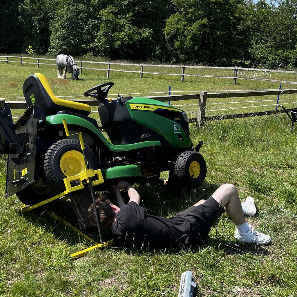 photo from the field, taken 2025