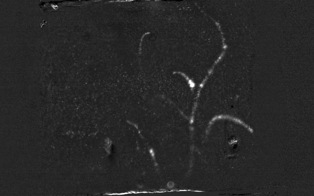 Particle tracks that appear to branch in the cloud chamber